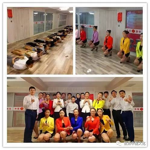 五年雙桂冠，深耕教育鑄就專業典范